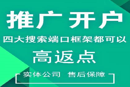 SEM运营推广助力行业领导地位